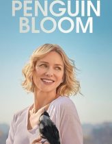 Penguin Bloom 2021 Filmi izle